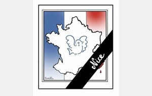 Attentats de Nice : la FFGym et l' EFORC  solidaire