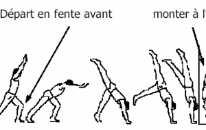 Stage A.T.R. (Appuis Tendu Renversé