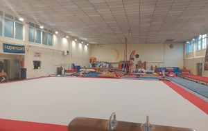 Essai Gymnastique Artistique Féminine