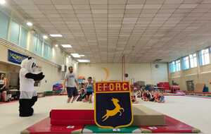 Championnat de L'EFORC GAF orange vert