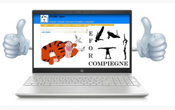 Continuité Pédagogique GAF Compétition (mise à jour le 02 avril)